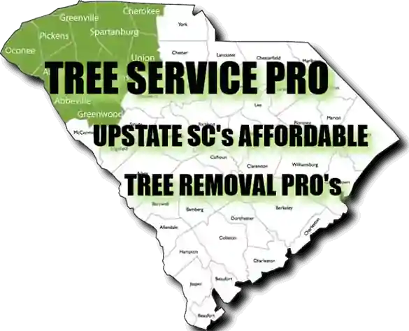 Tree Service & Affordable Removal in Anderson SC