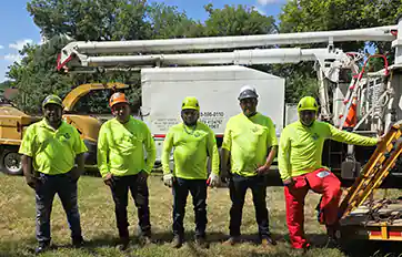 Tree Service Pro Team - Affordable Tree Removal Company