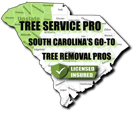 Affordable Tree Service in South Carolina - Tree Removal Near Me - SC