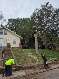 Tree Cutters Tree Professionals in Pickens