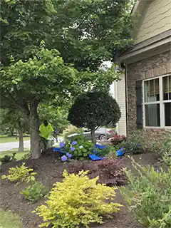 Tree Service Removal Cutting Chipping Pickens