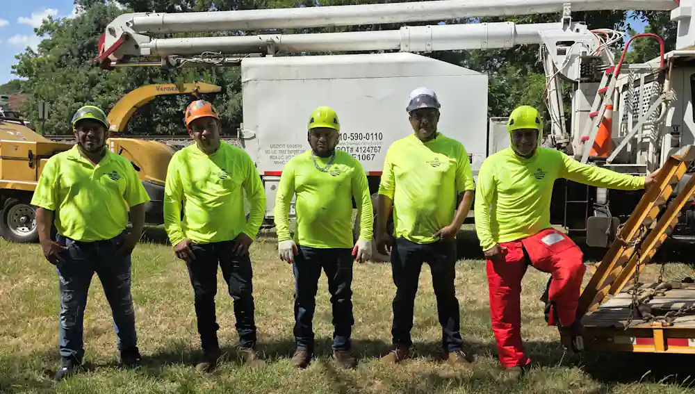 Tree Services and Affordable Tree Tremoval A-Team in Pickens